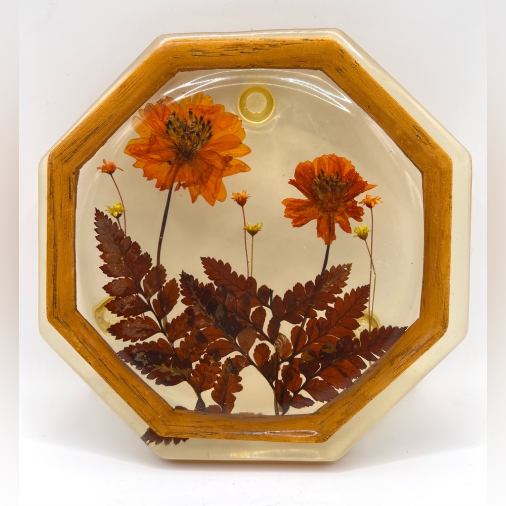 VTG Lucite Acrylic Pressed Flowers Brown Orange Three Footed Trivet Octagonal